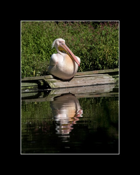 bild 04 - (c) m mueller.jpg